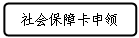 流程图: 可选过程: 社会保障卡申领